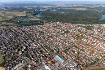 Vue aérienne de Les rives du Vieux Rhin et l'île du Rhin Ketscher à Ketsch dans le département Bade-Wurtemberg, Allemagne