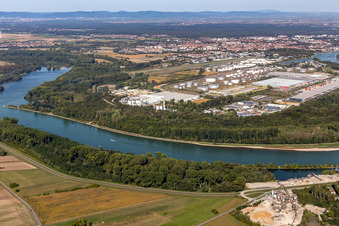 Vue aérienne de Installations techniques dans la zone industrielle de l'aéroport avec Interpneu Handelsgesellschaft mbH - Tire Logistics Center, Lidl Vertriebs GmbH & Co KG SPE, Contargo, TanQuid, Saint-Gobain Isover G+H AG, Vital Fleisch GmbH et Lauras Girls Bordell à Speyer dans le département Rhénanie-Palatinat, Allemagne