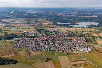 Vue oblique de Quartier Liedolsheim in Dettenheim dans le département Bade-Wurtemberg, Allemagne