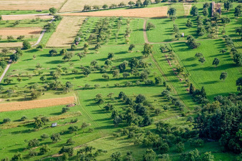 Vue aérienne de Prairies fruitières à le quartier Pfäffingen in Ammerbuch dans le département Bade-Wurtemberg, Allemagne