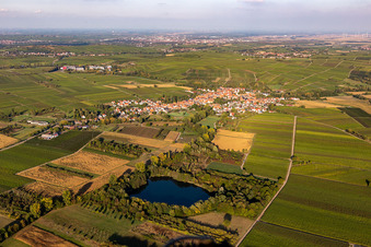 Photographie aérienne de Göcklingen dans le département Rhénanie-Palatinat, Allemagne