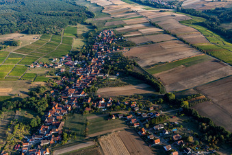 Cleebourg dans le département Bas Rhin, France vue d'en haut