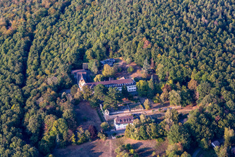 Vue aérienne de Château Château du Liebfrauenber à Gœrsdorf dans le département Bas Rhin, France