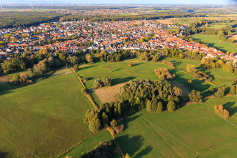 Vue aérienne de Parc sur la Ziegelbergstrasse à Jockgrim dans le département Rhénanie-Palatinat, Allemagne