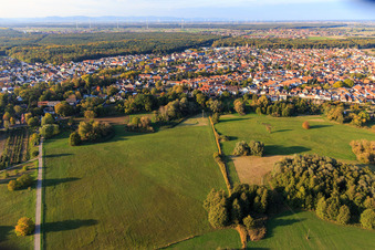 Photographie aérienne de Parc sur la Ziegelbergstrasse à Jockgrim dans le département Rhénanie-Palatinat, Allemagne