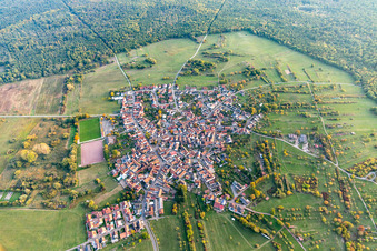 Vue aérienne de Quartier Büchelberg in Wörth am Rhein dans le département Rhénanie-Palatinat, Allemagne