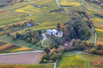 Vue aérienne de Rue des Vins 98A à le quartier Pleisweiler in Bad Bergzabern dans le département Rhénanie-Palatinat, Allemagne
