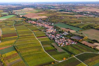 Photographie aérienne de Champs agricoles et terres agricoles à Niederhorbach dans le département Rhénanie-Palatinat, Allemagne