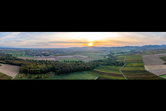 Vue aérienne de Vue aérienne panoramique d'automne de la vallée boisée de Horbach entre les champs d'automne colorés devant le bord de Haardt au coucher du soleil à Billigheim-Ingenheim à Niederhorbach dans le département Rhénanie-Palatinat, Allemagne