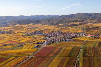 Vue aérienne de Vue de la végétation aux couleurs automnales des vignobles autour du village viticole de Kallstadt à le quartier Ungstein in Bad Dürkheim dans le département Rhénanie-Palatinat, Allemagne