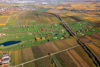 Vue aérienne de Route des vins allemands du Golf Garden à Dackenheim dans le département Rhénanie-Palatinat, Allemagne