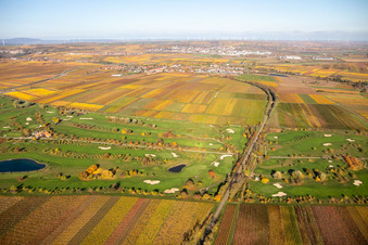 Vue aérienne de Route des vins allemands du Golf Garden à Dackenheim dans le département Rhénanie-Palatinat, Allemagne