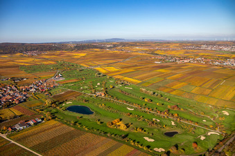 Photographie aérienne de Route des vins allemands du Golf Garden à Dackenheim dans le département Rhénanie-Palatinat, Allemagne