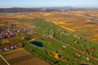 Vue aérienne de Terrain du parcours de golf Golfgarten de la Route des vins allemande - Dackenheim - GOLF absolute à Dackenheim dans le département Rhénanie-Palatinat, Allemagne