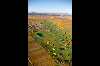 Photographie aérienne de Terrain du parcours de golf Golfgarten de la Route des vins allemande - Dackenheim - GOLF absolute à Dackenheim dans le département Rhénanie-Palatinat, Allemagne