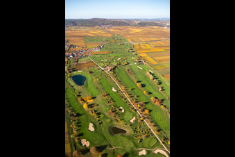 Vue oblique de Terrain du parcours de golf Golfgarten de la Route des vins allemande - Dackenheim - GOLF absolute à Dackenheim dans le département Rhénanie-Palatinat, Allemagne