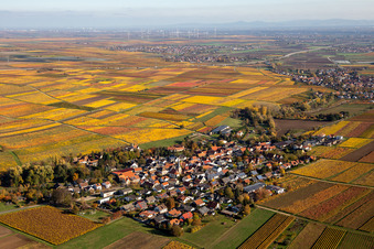 Vue aérienne de Vue de la végétation aux couleurs automnales Bissersheim à Bissersheim dans le département Rhénanie-Palatinat, Allemagne