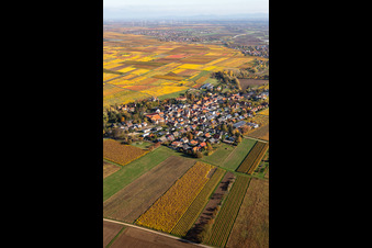 Photographie aérienne de Vue de la végétation aux couleurs automnales Bissersheim à Bissersheim dans le département Rhénanie-Palatinat, Allemagne