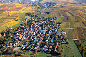 Vue oblique de Vue de la végétation aux couleurs automnales Bissersheim à Bissersheim dans le département Rhénanie-Palatinat, Allemagne