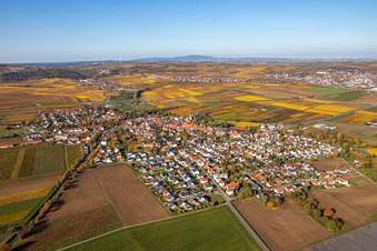 Vue aérienne de Vue du village aux couleurs automnales à le quartier Jerusalemsberg in Kirchheim an der Weinstraße dans le département Rhénanie-Palatinat, Allemagne