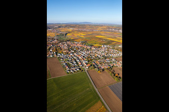 Photographie aérienne de Vue du village aux couleurs automnales à le quartier Jerusalemsberg in Kirchheim an der Weinstraße dans le département Rhénanie-Palatinat, Allemagne