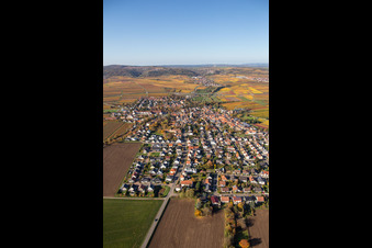 Vue oblique de Vue du village aux couleurs automnales à le quartier Jerusalemsberg in Kirchheim an der Weinstraße dans le département Rhénanie-Palatinat, Allemagne