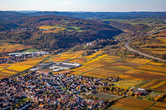 Vue aérienne de Vue de la végétation aux couleurs automnales au bord des vignes et des caves de la région viticole en Sausenheim à le quartier Sausenheim in Grünstadt dans le département Rhénanie-Palatinat, Allemagne