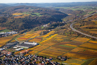 Vue aérienne de Vignobles aux couleurs automnales entre Sausenheim et Neuleiningen à Neuleiningen dans le département Rhénanie-Palatinat, Allemagne
