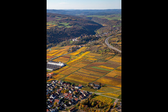 Photographie aérienne de Vignobles aux couleurs automnales entre Sausenheim et Neuleiningen à Neuleiningen dans le département Rhénanie-Palatinat, Allemagne
