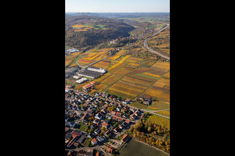 Vue oblique de Vignobles aux couleurs automnales entre Sausenheim et Neuleiningen à Neuleiningen dans le département Rhénanie-Palatinat, Allemagne