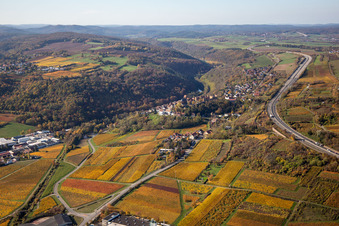 Vue aérienne de Vue de la végétation aux couleurs automnales au bord des vignes et des caves de la région viticole à Neuleiningen dans le département Rhénanie-Palatinat, Allemagne