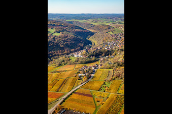 Vue aérienne de Vue de la végétation aux couleurs automnales au bord des vignes et des caves de la région viticole à Neuleiningen dans le département Rhénanie-Palatinat, Allemagne