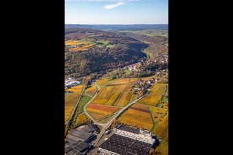 Neuleiningen dans le département Rhénanie-Palatinat, Allemagne depuis l'avion
