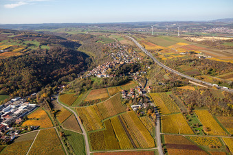 Photographie aérienne de Vue de la végétation aux couleurs automnales au bord des vignes et des caves de la région viticole à Neuleiningen dans le département Rhénanie-Palatinat, Allemagne