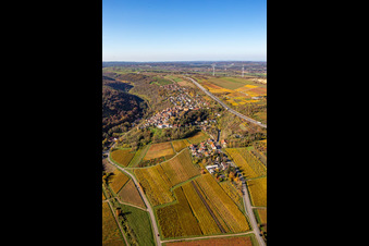 Vue oblique de Vue de la végétation aux couleurs automnales au bord des vignes et des caves de la région viticole à Neuleiningen dans le département Rhénanie-Palatinat, Allemagne