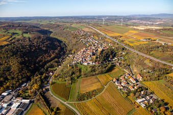 Vue aérienne de Château de Neulingen à Neuleiningen dans le département Rhénanie-Palatinat, Allemagne
