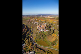 Vue de la végétation aux couleurs automnales au bord des vignes et des caves de la région viticole à Neuleiningen dans le département Rhénanie-Palatinat, Allemagne hors des airs