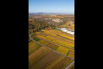 Vue aérienne de Kleinkarlbach dans le département Rhénanie-Palatinat, Allemagne