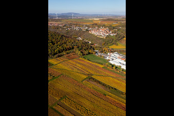 Vue aérienne de Couleurs automnales des vignobles au-dessus des halles de production de Gechem GmbH & Co. KG à Neuleiningen dans le département Rhénanie-Palatinat, Allemagne