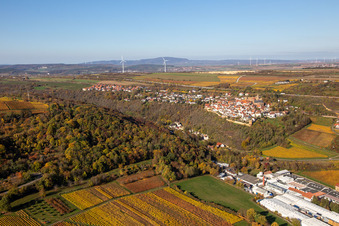Vue aérienne de Couleurs automnales des vignobles au-dessus des halles de production de Gechem GmbH & Co. KG à Neuleiningen dans le département Rhénanie-Palatinat, Allemagne