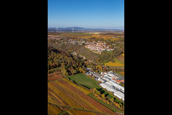 Photographie aérienne de Couleurs automnales des vignobles au-dessus des halles de production de Gechem GmbH & Co. KG à Neuleiningen dans le département Rhénanie-Palatinat, Allemagne