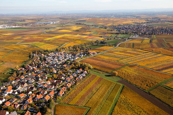 Photographie aérienne de Kleinkarlbach dans le département Rhénanie-Palatinat, Allemagne