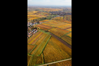 Vue oblique de Kleinkarlbach dans le département Rhénanie-Palatinat, Allemagne