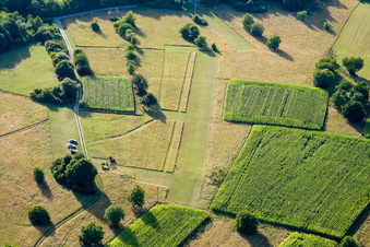 Vue aérienne de Structures sur les champs agricoles à le quartier Dietlingen in Keltern dans le département Bade-Wurtemberg, Allemagne