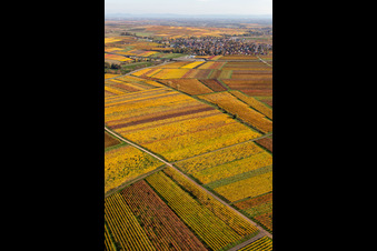 Quartier Jerusalemsberg in Kirchheim an der Weinstraße dans le département Rhénanie-Palatinat, Allemagne hors des airs