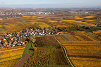 Kleinkarlbach dans le département Rhénanie-Palatinat, Allemagne hors des airs