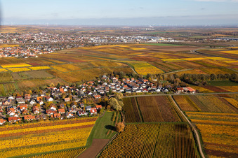 Kleinkarlbach dans le département Rhénanie-Palatinat, Allemagne vue d'en haut