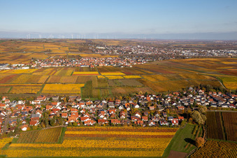 Vue aérienne de Vignobles aux couleurs automnales entre Kleinkarlbach et Sausenheim à Kleinkarlbach dans le département Rhénanie-Palatinat, Allemagne