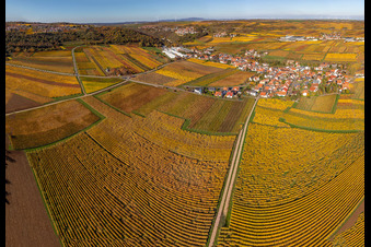 Kleinkarlbach dans le département Rhénanie-Palatinat, Allemagne depuis l'avion