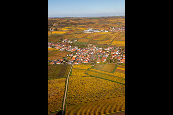 Vue d'oiseau de Kleinkarlbach dans le département Rhénanie-Palatinat, Allemagne